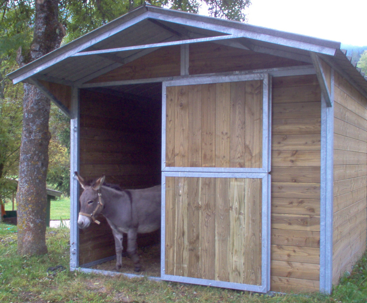 Un âne est à l'entrée de son abri.